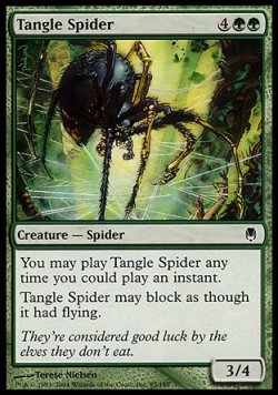 画像1: 『英語版』絡み森の蜘蛛/Tangle Spider