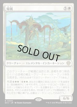 画像1: 【日本語版】帰属/Belonging