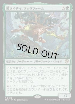 画像1: 【日本語版】若きイチイ、フェラフォール/Ferrafor, Young Yew