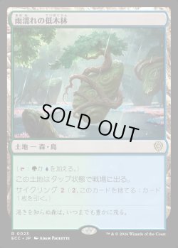 画像1: 【日本語版】雨濡れの低木林/Rain-Slicked Copse