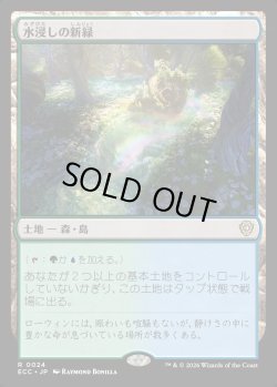 画像1: 【日本語版】水浸しの新緑/Sodden Verdure