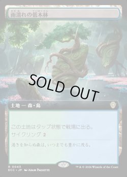 画像1: 【拡張枠】【日本語版】雨濡れの低木林/Rain-Slicked Copse