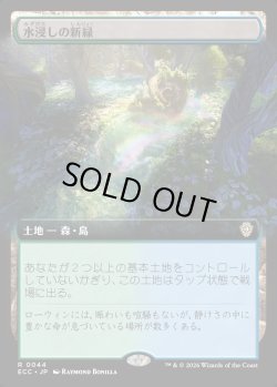 画像1: 【拡張枠】【日本語版】水浸しの新緑/Sodden Verdure