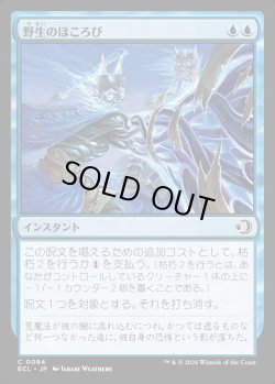 画像1: 【日本語版】野生のほころび/Wild Unraveling