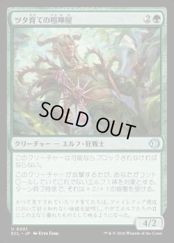 画像1: 【日本語版】ツタ育ての喧嘩屋/Vinebred Brawler