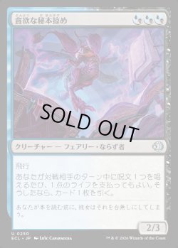 画像1: 【日本語版】貪欲な秘本掠め/Voracious Tome-Skimmer