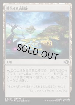 画像1: 【日本語版】進化する未開地/Evolving Wilds