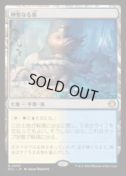 画像1: 【Foil】【日本語版】神聖なる泉/Hallowed Fountain