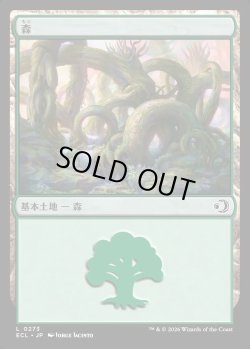 画像1: 【日本語版】森/Forest