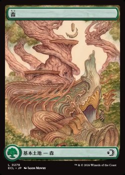 画像1: 【ローウィン】【日本語版】森/Forest