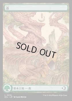 画像1: 【ローウィン】【日本語版】森/Forest