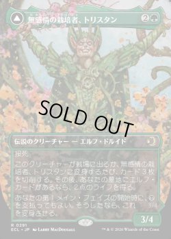 画像1: 【ボーダーレス】【日本語版】無感情の栽培者、トリスタン/改悛の淘汰者、トリスタン/Trystan, Callous Cultivator/Trystan, Penitent Culler