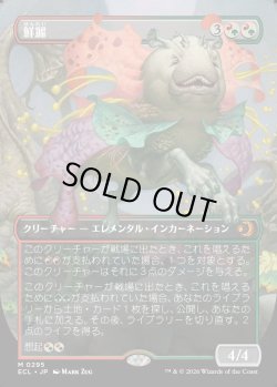 画像1: 【ボーダーレス】【日本語版】鮮麗/Vibrance