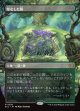 【Foil】【リバーシブル・ボーダーレス】【日本語版】草むした墓/Overgrown Tomb