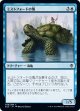 【日本語版】ミストフォードの亀/Mistford River Turtle