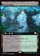 【拡張枠】【日本語版】ただれた茂み/Festering Thicket