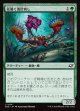 【日本語版】花開く毒針刺し/Blooming Stinger