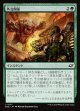 【日本語版】外交関係/Diplomatic Relations