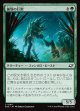 【日本語版】菌類の巨獣/Fungal Colossus