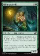 【日本語版】解氷をもたらす者/Thawbringer