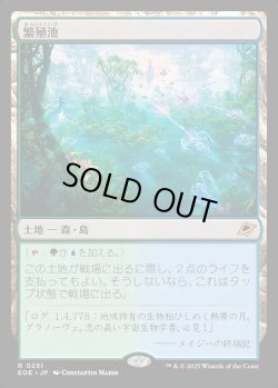 画像1: 【Foil】【日本語版】繁殖池/Breeding Pool