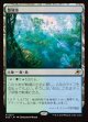【日本語版】繁殖池/Breeding Pool