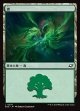 【日本語版】森/Forest