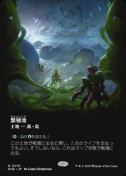 画像1: 【Foil】【ボーダーレス】【日本語版】繁殖池/Breeding Pool