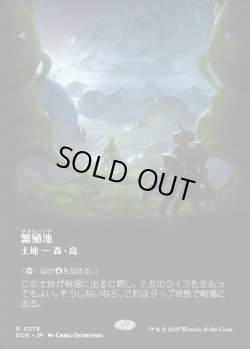 画像1: 【ボーダーレス】【日本語版】繁殖池/Breeding Pool
