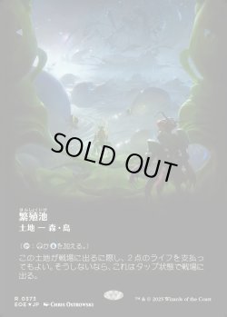 画像1: 【ギャラクシーFoil】【日本語版】繁殖池/Breeding Pool