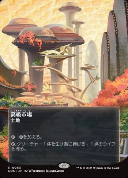 画像1: 【星景ポスター】【日本語版】高級市場/High Market