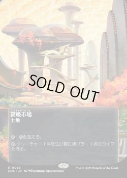 画像1: 【Foil】【星景ポスター】【日本語版】高級市場/High Market