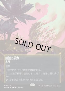画像1: 【Foil】【星景ポスター】【日本語版】睡蓮の原野/Lotus Field