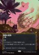 【星景ポスター】【日本語版】睡蓮の原野/Lotus Field