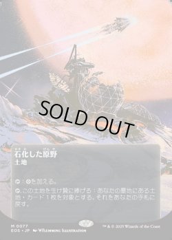 画像1: 【Foil】【星景ポスター】【日本語版】石化した原野/Petrified Field