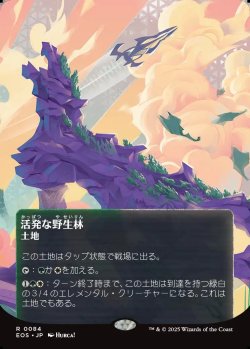 画像1: 【Foil】【星景ポスター】【日本語版】活発な野生林/Stirring Wildwood