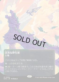 画像1: 【Foil】【星景ポスター】【日本語版】活発な野生林/Stirring Wildwood