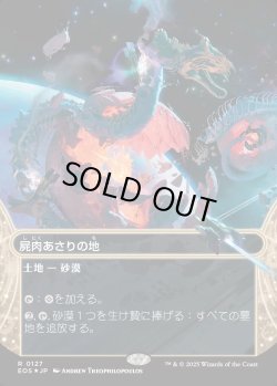 画像1: 【ギャラクシーFoil】【星景】【日本語版】屍肉あさりの地/Scavenger Grounds