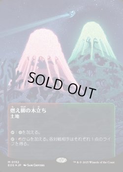 画像1: 【ギャラクシーFoil】【星景ポスター】【日本語版】燃え柳の木立ち/Grove of the Burnwillows
