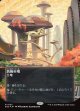【ギャラクシーFoil】【星景ポスター】【日本語版】高級市場/High Market