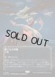 【ギャラクシーFoil】【星景ポスター】【日本語版】巣ごもりの地/Nesting Grounds
