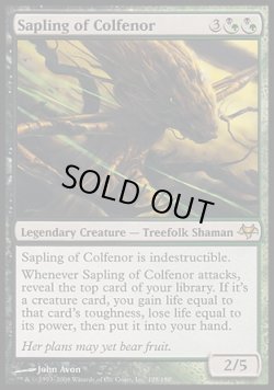 画像1: 【日本語版】コルフェノールの若木/Sapling of Colfenor