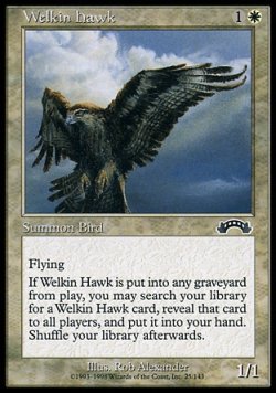 画像1: 【日本語版】天空の鷹/Welkin Hawk