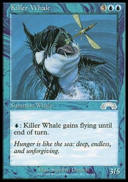 画像1: 【日本語版】殺人鯨/Killer Whale