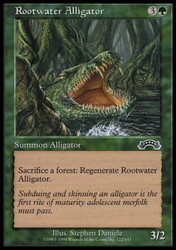 画像1: 『英語版』ルートウォーターのアリゲーター/Rootwater Alligator