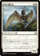 【Foil】【日本語版】若年の戦乙女/Youthful Valkyrie