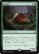 【日本語版】漁る軟泥/Scavenging Ooze