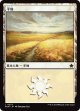 【日本語版】平地/Plains