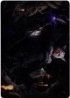 【アートカード】【日本語版】魔女、ヤ・シュトラ・ルル No.21