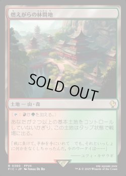 画像1: 【日本語版】燃えがらの林間地/Cinder Glade
